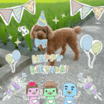 Thumbnail of post image 067