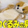【感動】大切なぬいぐるみを蘇らせる！約17,000体を“治療”してきた「ぬいぐるみの病院