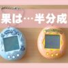 動く?動かない?電源入らない中古たまごっち2台の結末、の記録。