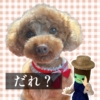 Thumbnail of related posts 156