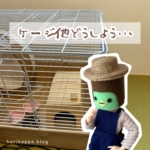 Thumbnail of post image 075