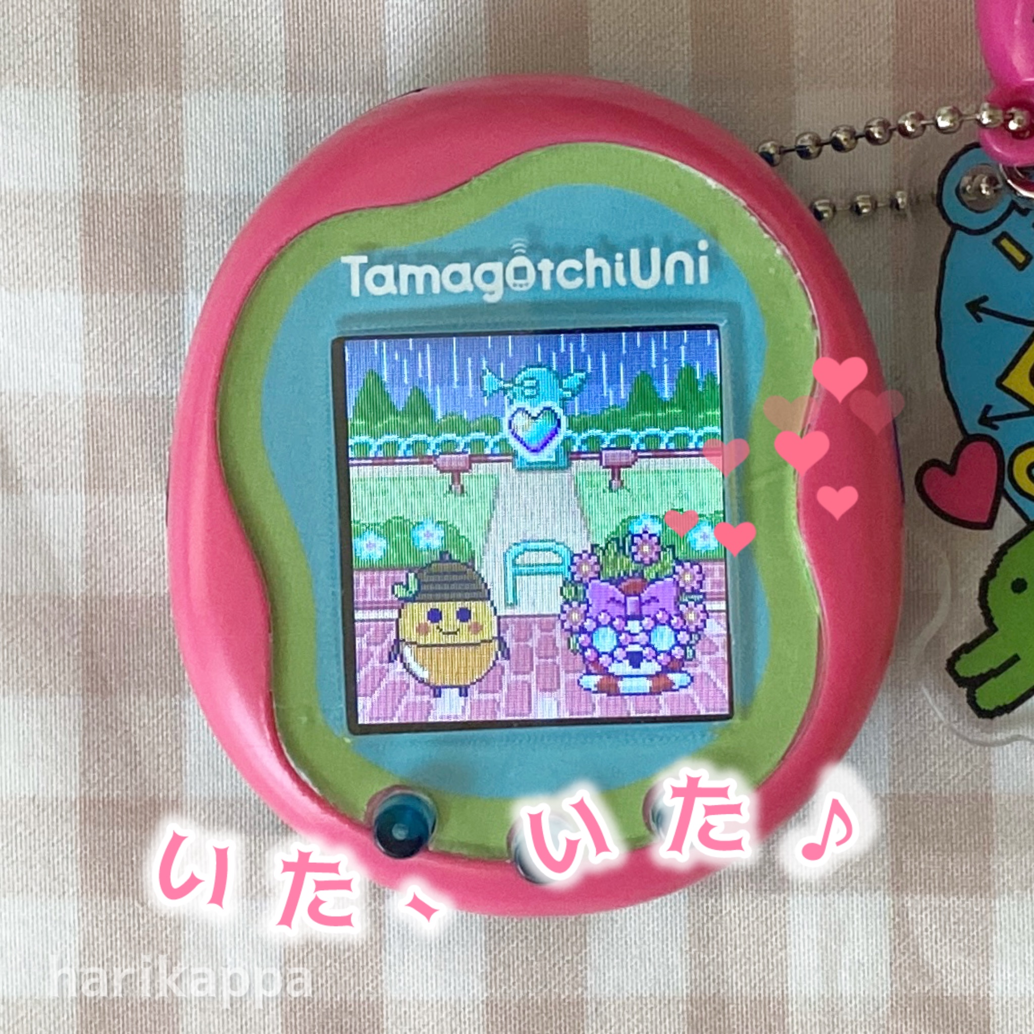 ぅゆまる様確認ページ ゆまる - Search / X